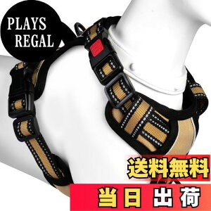 yz[2025ŐV^n[lX]BaoCheng p ^/^/^n[lX p h~ P݌y A^}ʂ TCY\ Ԕˍ Ȃ ʋC ȒP