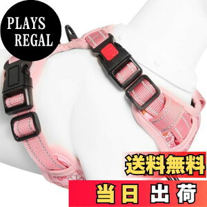 yz[2025ŐV^n[lX]BaoCheng p ^/^/^n[lX p h~ A^}ʂ P݌y TCY\ Ԕˍ Ȃ ʋC ȒP