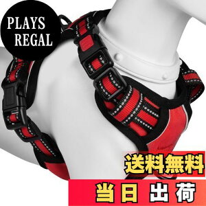 yz[2025ŐV^n[lX]BaoCheng p ^/^/^n[lX p h~ A^}ʂ P݌y TCY\ Ԕˍ Ȃ ʋC ȒP