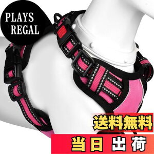 yz[2025ŐV^n[lX]BaoCheng p ^/^/^n[lX p h~ A^}ʂ P݌y TCY\ Ԕˍ Ȃ ʋC ȒP