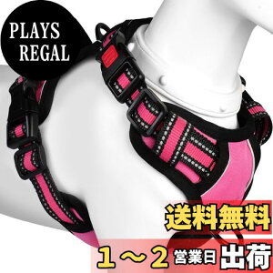 yz[2025ŐV^n[lX]BaoCheng p ^/^/^n[lX p h~ A^}ʂ P݌y TCY\ Ԕˍ Ȃ ʋC ȒP