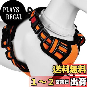yz[2025ŐV^n[lX]BaoCheng p ^/^/^n[lX p h~ A^}ʂ P݌y TCY\ Ԕˍ Ȃ ʋC ȒP