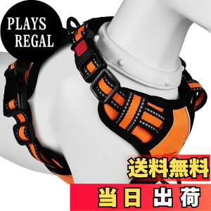 yz[2025ŐV^n[lX]BaoCheng p ^/^/^n[lX p h~ A^}ʂ P݌y TCY\ Ԕˍ Ȃ ʋC ȒP