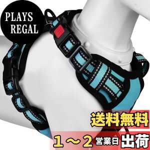 yz[2025ŐV^n[lX]BaoCheng p ^/^/^n[lX p h~ A^}ʂ P݌y TCY\ Ԕˍ Ȃ ʋC ȒP