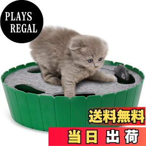 yzL - Pawaboo d lY~߂炦 B ǂ L lRV ^ xbgp GREEN
