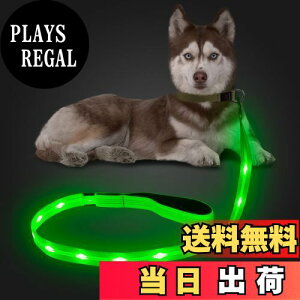 yzCandofly ˌ^ LED p[h - ÈłŌ錢p[h USB [dƖtp[vA4 tB[g̑ϋv̂ϐ_Ōp[hAybǧ̖̎Up ()