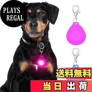 yzDolitego 2 Ԃ̎UppCg - F̍pփCg NbvI^O ԃjOCg ( + sN)