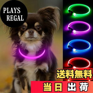 yzCandofly  ^ -  U Cg [d LED    L  U郉Cg (sN)