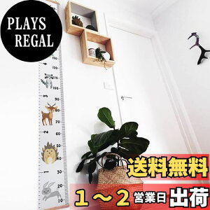 yzq gv 킢 g𑪂 200cm ǂɊ|  ǎ LbY  rO q 2F