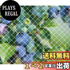 yzh lbg 悯lbg|lbg _Ɨpi ƒ؉lbg c [YANHAIDIDAI]ʎ h JX悯 ObY ʎhbhlbg LEh~΍ lbg