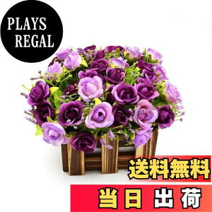 yzBEADY ~j_C[o lHϗtA  G} tFCNO[ CeA Mtg j (ԍ(), p[v)