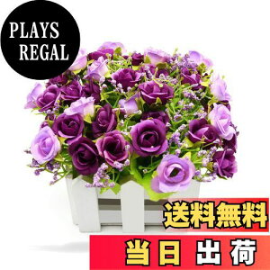 yzBEADY ~j_C[o lHϗtA  G} tFCNO[ CeA Mtg j (ԍ(zCg), p[v)