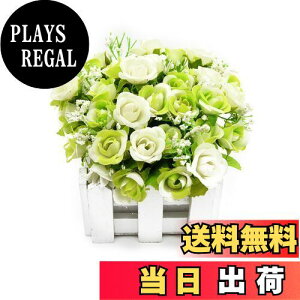 yzBEADY ~j_C[o lHϗtA  G} tFCNO[ CeA Mtg j (ԍ(zCg), O[&zCg)