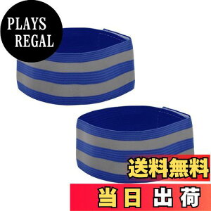 yzCAPASTEC ˃oh ~߃oh oh  oh jO  鎋FAbv ʋ ʊw  oR ނ ˍ jp  ̖h~ 2 u[ [sAi]