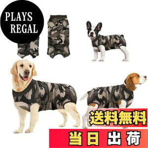 yzoUUoNNo pEFA ̂߂̉񕜃X[c ی rߖh~ 畆ی D  sDp {^^Cv Yp (XL, )