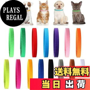 yzYINKE qL qp 15FZbg ybgpʎ V ybg _̑f }WbNe[vt _uTCh ߉\ ȒPE q