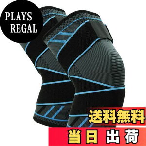 yzGoosom GT|[^[ (2)ЂT|[^[ \ xgX|[cp ~ ʋC ۉ LkɗD jp K51D2 Cgu[ XL