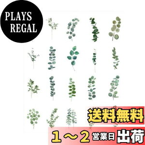 yzEZ PEACH R[Wf V[ t[N  ԙ  ʎX h g V[ PET R[WDIY  fގ  pbN V[V[g 蒠fR t  킢 