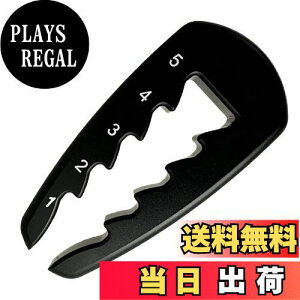 yzEsiFare SteB[̍ eB[nCg AWX^[ SteB[̍c[ Stg[jO⏕ \ g₷ ڐt  x M