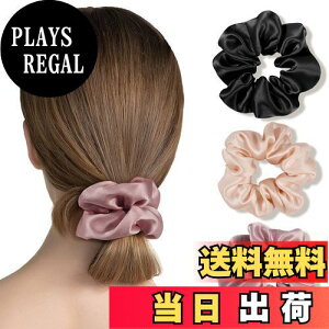 yzOLESILK wAS VV VN 100 S l ՂȂ  wALbv 3Zbg 22  S 4cm ubN+Cgv+[^XsN