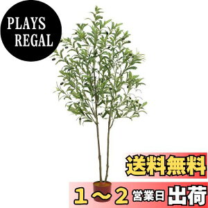 yzSAGVEiTQrj ϗtA tFCNO[ 150cm lHϗtA  ^G} C   Lb` ItBX A A  I[u
