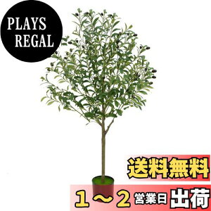yzSAGVEiTQrj ϗtA tFCNO[ 120cm lHϗtA  ^G} C   Lb` ItBX A A  I[u