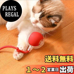 yzJOYOUTH L   L {[ USB[d LEDCg  360°] 3[h d ̎L炵 ybg L ߋ dC{[