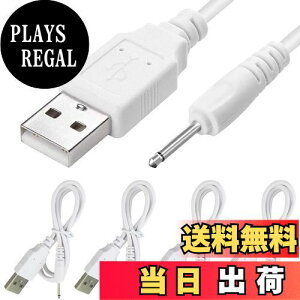 yzXiatiaosann DC 2.5mm ̎ւ̏[P[uA}bT[W[i̓õWbNł͂Ȃĵ߂ DC 2.5mm/18mm ̑[d̃A_v^[̃R[hւ USB A ̏ (4 p