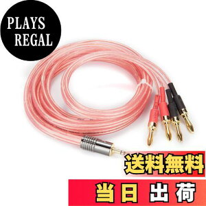 yzy3.5mm̃oiivOz݂肻ŖVXs[J[P[uyWYVERN AUDIOz 1.5m