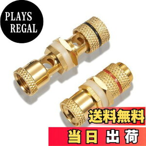 yzyoiivOp XXzby yWYVERN AUDIOz oiivO/pI v≏ X̃X WV-CHU-K 11 (21g)