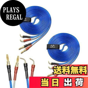 yzyoinz 2{1g LRZbg yoiivOHρz by yWYVERN AUDIOz 24kbL vO Xs[J[ P[u in_ς By WYVERN AUDIO (oiivO̐jvO / 