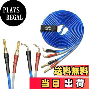 yzyoin/VOz  1{̔ Pi yoiivOHρzBy yWYVERN AUDIOzoiivOF24kbL  Xs[J[ P[u in_ς (oiivO̐jv