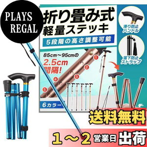 yzyŌtďCzfogman  ܂肽 y XebL  j   Lk 5iK (u[)