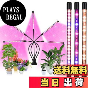 yzHooha A琬Cg LED ACg 5wbh ͔|v ϗtA琬Cg 50W 100LEDv 莞@\ (3H / 6H / 12H) 5iK 360°\ 3̏Ɩp^[ k͔|v 