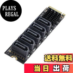 yzcablecc NGFF NVME M-Key PCI Express - SATA 3.0 6Gbps 5|[g A_v^[ Ro[^[ n[hhCugJ[h JMB585 2280 Black M-key to 5 SATA