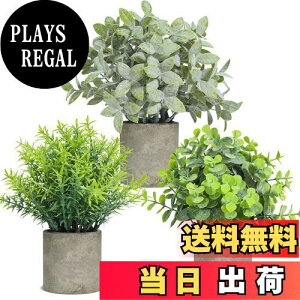 yzT4U tFCNO[ ϗtA tFCN   3Zbg CeA v[g