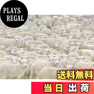 yzy{z 1000}CNs[X WO\[pY ȂpY (26×38cm)M81-627 y{2021 nC^[QbgEgC DG܎܁z 