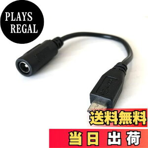 yzAccess DCd ϊP[u }CNUSB IX/X Oa5.5mm a2.1mm DY18