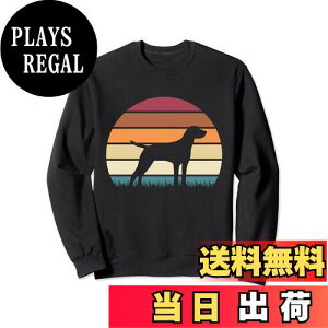 yzRetro Sunset Dog Pet Lover German Shorthaired Pointer g[i[
