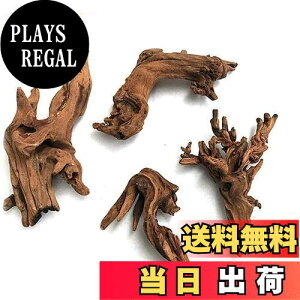 yz4 R كVNGCuؐ̑ i 15-25cmj