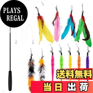 yz14 _Zbg L ColiChili L炵 VR Ĥ pH11 _t pނ莅2 ԂԂ ybgObY ˂pi