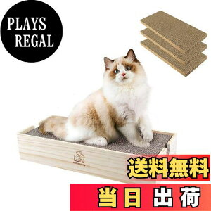 yzyAlmondayzL ܂Ƃ VRؐ x  ܖ Lbg 苭