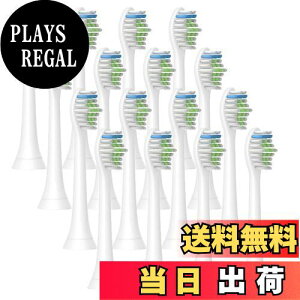 �y���������z�d�����u���V �ւ��u���V �t�B���b�v�X �\�j�b�P�A �Ή� �t�B���b�v�X�\�j�b�P�A�[ �ւ��u���V HX6064 Sonic 4�Z�b�g16�{���� �݊��u���V