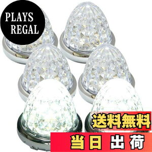 yzCustomize 24V gbNp LED }[J[v TCh }[J[ 8ʃNX^Jbgdl 16LED bLO ėp 6 Zbg u[/CG[/bh/zCg eF (zCg)