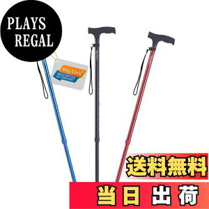 yzrOANXiBigAlexjXebL  LkXebL Lk y A~ \ sx ԎU(ubN) 1 (x 1)