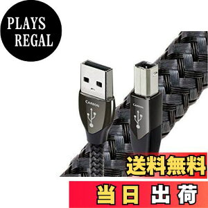 yzI[fBINGXg USBP[u USB2/CAR/0.75M