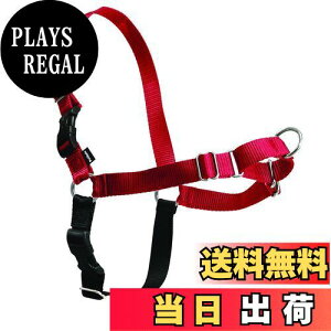 yzPetSafeiybgZ[tjpn[lX h~ C[W[EH[Nn[lX bh MTCY