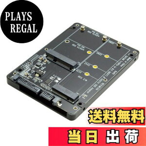 yzCableCC 2C1R{ M.2 NGFF BL[ & mSATA SSD to SATA 3.0 A_v^[Ro[^[P[XGN[W