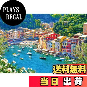 yzy{z 1000s[X WO\[pY |gtB[m }CNs[X(26×38cm)