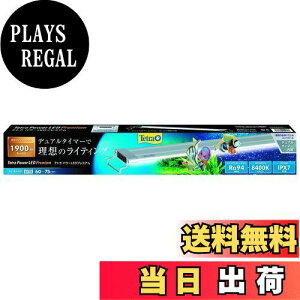 yzeg (Tetra) p[LEDv~A 60 Cg ANAE A琬Cg ^C}[ _Eʐݒ\ h\(IPX7) RA94̍F 琬 ͔| A